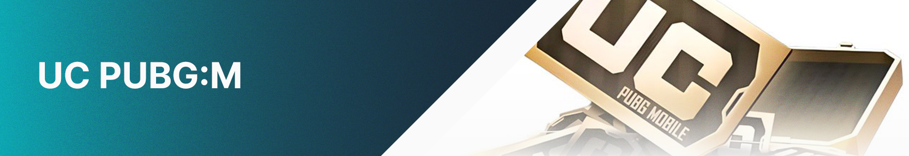 UCPUBGM banner